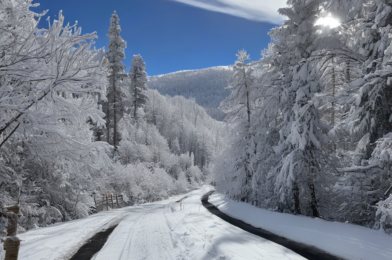 Cold in most places, but magical snow in some areas